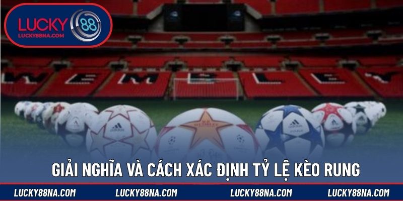 Giải nghĩa và cách xác định tỷ lệ kèo rung